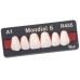 Kulzer MONDIAL 6/8 Acrylic Teeth Small Assortment Intro Case 66041207 - Shades: A2/A3 - 48 Anteriors / 36 Posteriors - Cardboard Display Case / Plastic Draw - STRICTLY LIMITED OFFER - NEW USERS ONLY 1 Per Customer Only - SPECIAL ORDER INDENT
